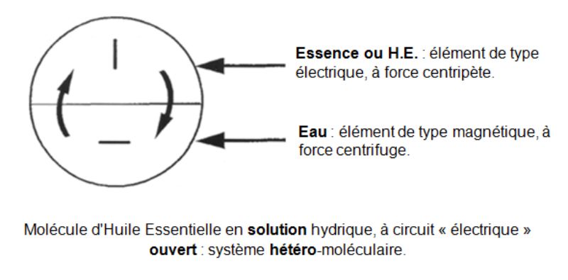 Molécule d'Huile Essentielle en solution hydrique ouvert